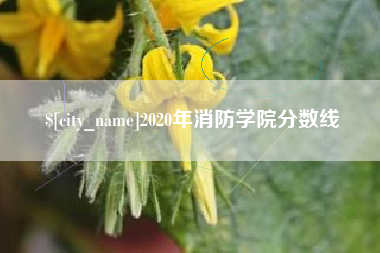 海门2020年消防学院分数线