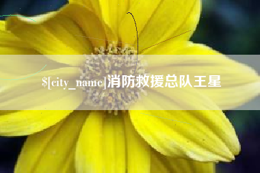 海门消防救援总队王星