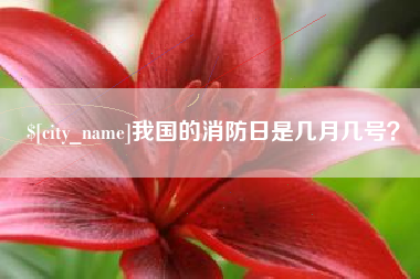 海门我国的消防日是几月几号？