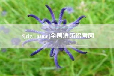 海门全国消防招考网