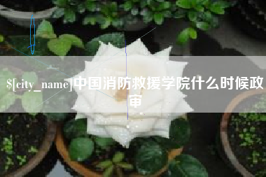 海门中国消防救援学院什么时候政审