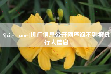 海门执行信息公开网查询不到被执行人信息