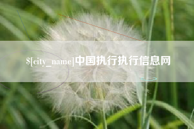 海门中国执行执行信息网