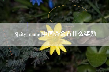 海门中国夺金有什么奖励