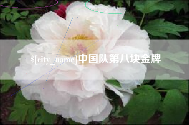 海门中国队第八块金牌