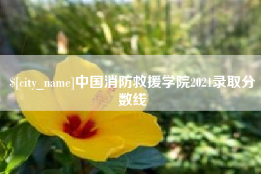 海门中国消防救援学院2021录取分数线