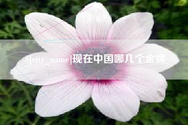 海门现在中国哪几个金牌