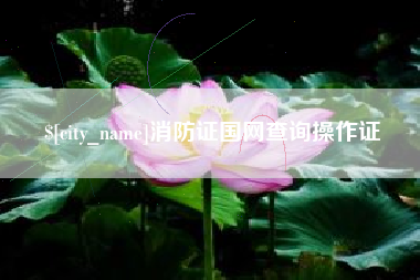 海门消防证国网查询操作证
