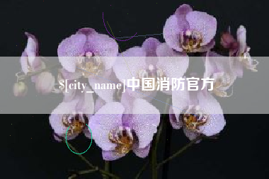 海门中国消防官方