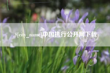 海门中国执行公开网下载