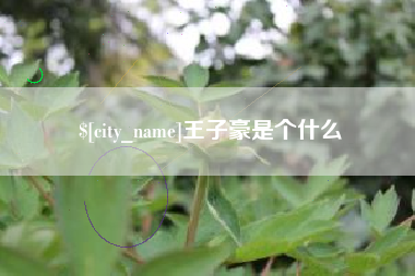 海门王子豪是个什么