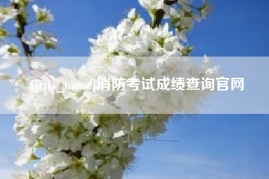 海门消防考试成绩查询官网