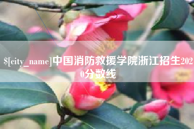 海门中国消防救援学院浙江招生2020分数线