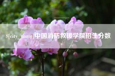 海门中国消防救援学院招生分数