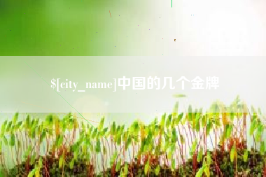 海门中国的几个金牌