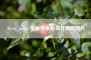 海门奥运夺金时刻九宫格图片