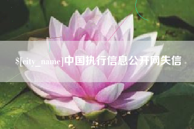 海门中国执行信息公开网失信