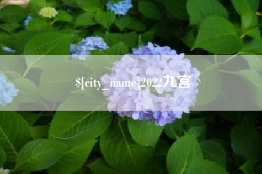 海门2022九宫
