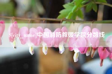 海门中国消防救援学院分数线