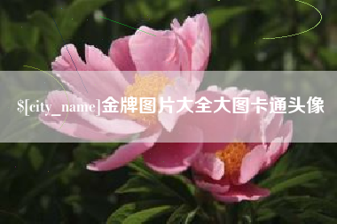 海门金牌图片大全大图卡通头像