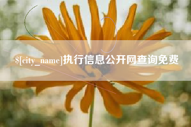 海门执行信息公开网查询免费