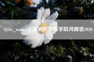 海门中国消防救援学院河南省2020